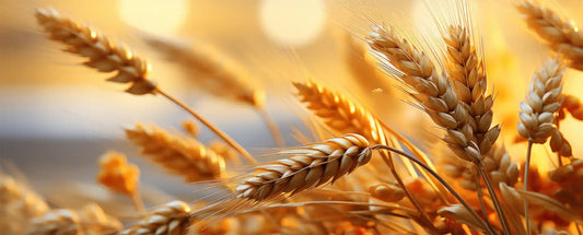 Why Barley Bread Deserves a Place on Your Table